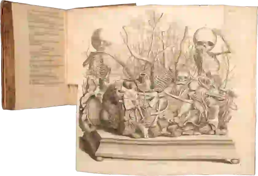 Two infant skeletons hold handkerchiefs to their faces viewing at the center a dead infant covered with anatomical parts as its grave site