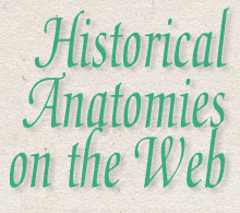 Historical Anatomies on the Web