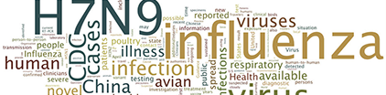 Word density chart