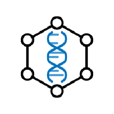 rows of DNA helices